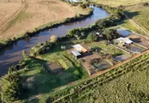 Template Colunistas – Yhuldes Giovani