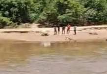 Template Colunistas – Yhuldes Giovani