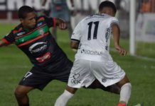 Template Colunistas – Yhuldes Giovani