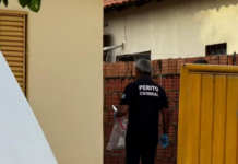 Template Colunistas – Yhuldes Giovani