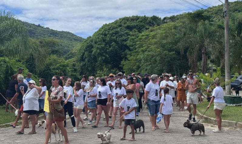 Lei cão Orelha: nova mudança no ECA pode punir adolescentes que violentarem animais