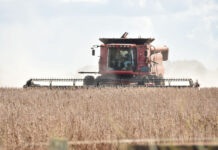 Template Colunistas – Yhuldes Giovani