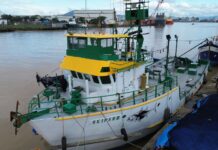 Template Colunistas – Yhuldes Giovani