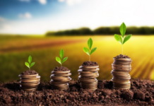 Template Colunistas – Yhuldes Giovani