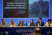 Template Colunistas – Yhuldes Giovani