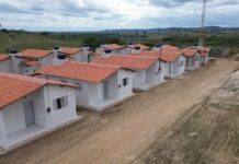 Template Colunistas – Yhuldes Giovani