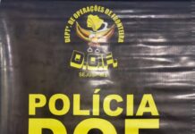 Template Colunistas – Yhuldes Giovani