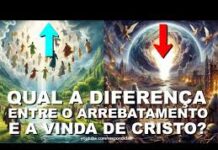 Template Colunistas – Yhuldes Giovani