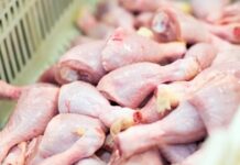 Template Colunistas – Yhuldes Giovani