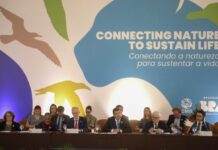 Template Colunistas – Yhuldes Giovani