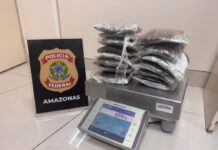 Template Colunistas – Yhuldes Giovani