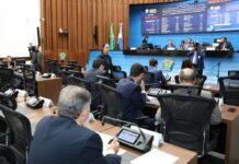 Template Colunistas – Yhuldes Giovani