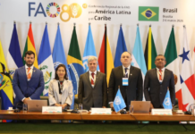 Template Colunistas – Yhuldes Giovani