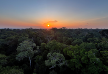 Template Colunistas – Yhuldes Giovani