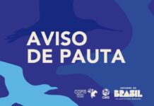 Template Colunistas – Yhuldes Giovani