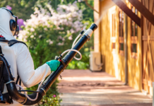 Template Colunistas – Yhuldes Giovani