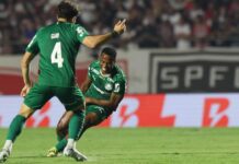 Template Colunistas – Yhuldes Giovani