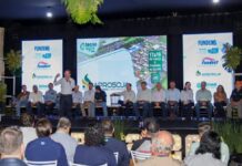 Template Colunistas – Yhuldes Giovani