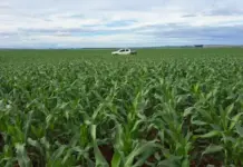 Template Colunistas – Yhuldes Giovani