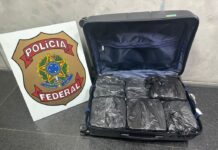 Template Colunistas – Yhuldes Giovani