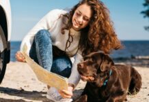 Template Colunistas – Yhuldes Giovani