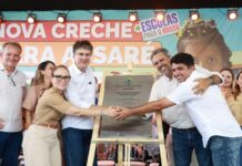 Template Colunistas – Yhuldes Giovani