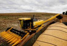 Template Colunistas – Yhuldes Giovani