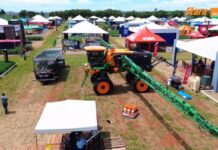 Template Colunistas – Yhuldes Giovani