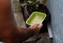 Template Colunistas – Yhuldes Giovani