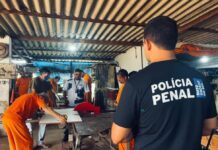 Template Colunistas – Yhuldes Giovani