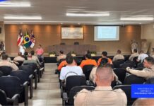 Template Colunistas – Yhuldes Giovani