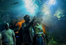 Template Colunistas – Yhuldes Giovani