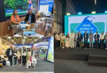 Template Colunistas – Yhuldes Giovani