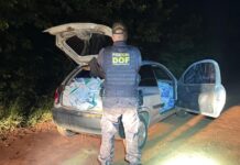 Template Colunistas – Yhuldes Giovani