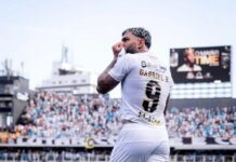 Template Colunistas – Yhuldes Giovani