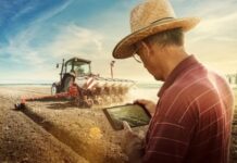 Template Colunistas – Yhuldes Giovani