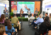 Template Colunistas – Yhuldes Giovani