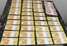 Template Colunistas – Yhuldes Giovani