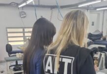 Template Colunistas – Yhuldes Giovani