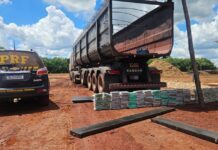 Template Colunistas – Yhuldes Giovani