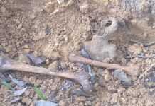 Template Colunistas – Yhuldes Giovani