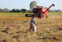 Template Colunistas – Yhuldes Giovani