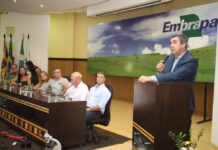 Template Colunistas – Yhuldes Giovani