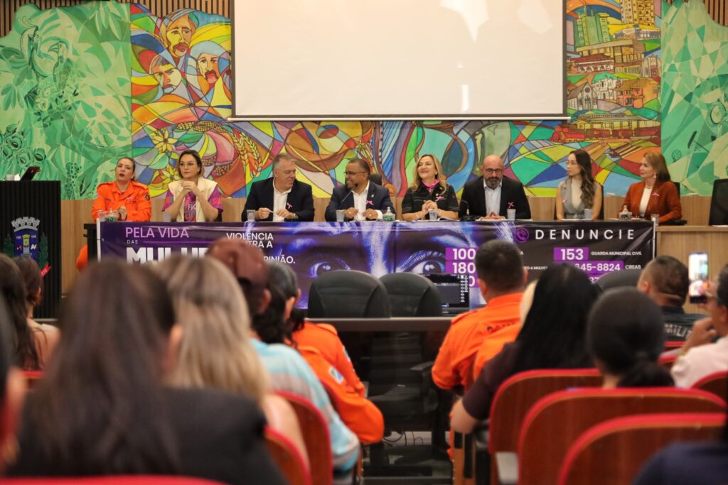 Ponta Porã: Audiência Pública sobre violência contra a Mulher: “combate se faz a cada segundo”