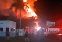 Template Colunistas – Yhuldes Giovani