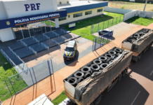 Template Colunistas – Yhuldes Giovani