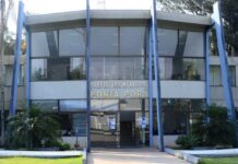 Template Colunistas – Yhuldes Giovani