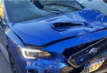 Template Colunistas – Yhuldes Giovani