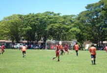 Template Colunistas – Yhuldes Giovani