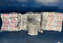 Template Colunistas – Yhuldes Giovani